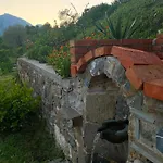 Laci * Tirana
