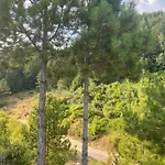 Laci Tirana
