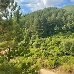 Laci * Tirana