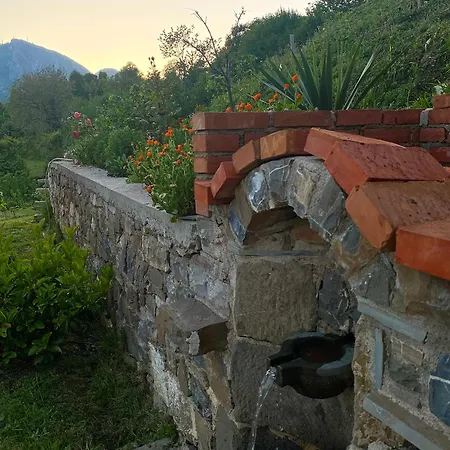 Laci * Tirana
