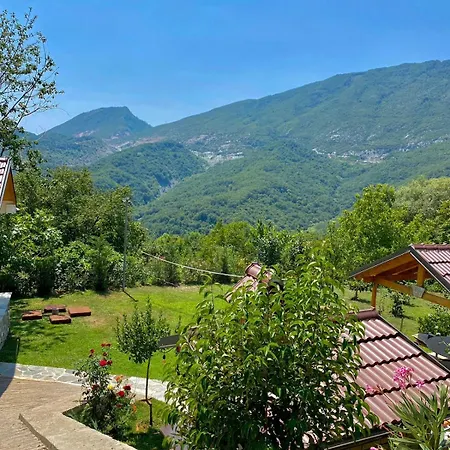 Laci Tirana