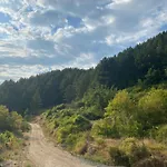 Laci Holiday home Tirana