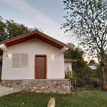 Laci Сasa de vacaciones