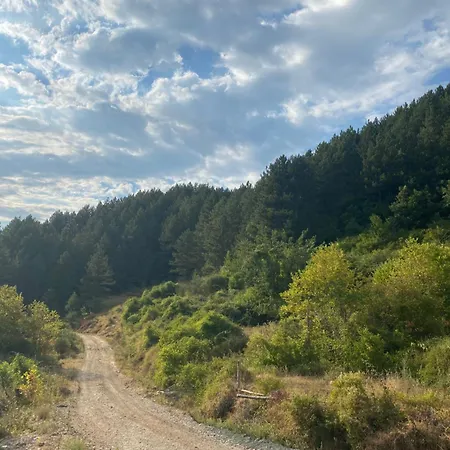Laci Ferienhaus Tirana