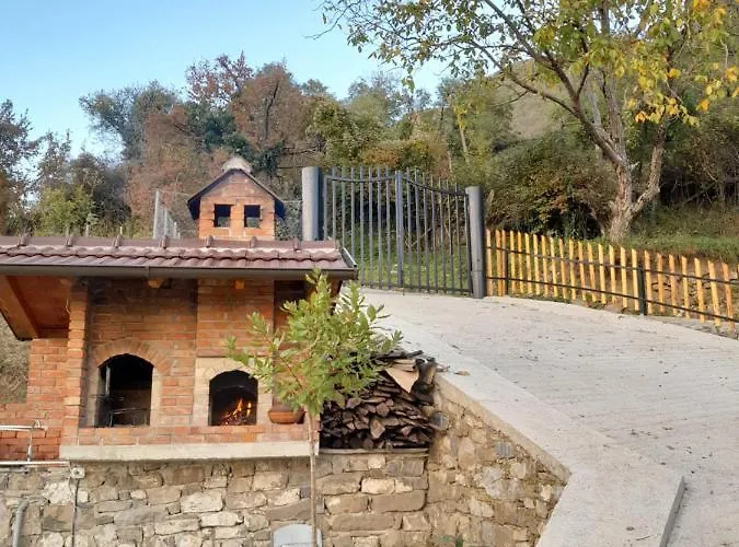 Laci Tirana
