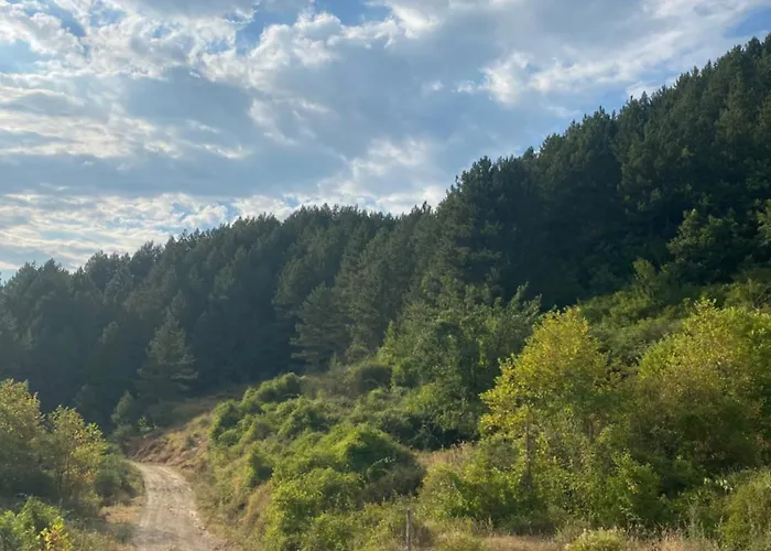 Laci Dom wakacyjny Tirana