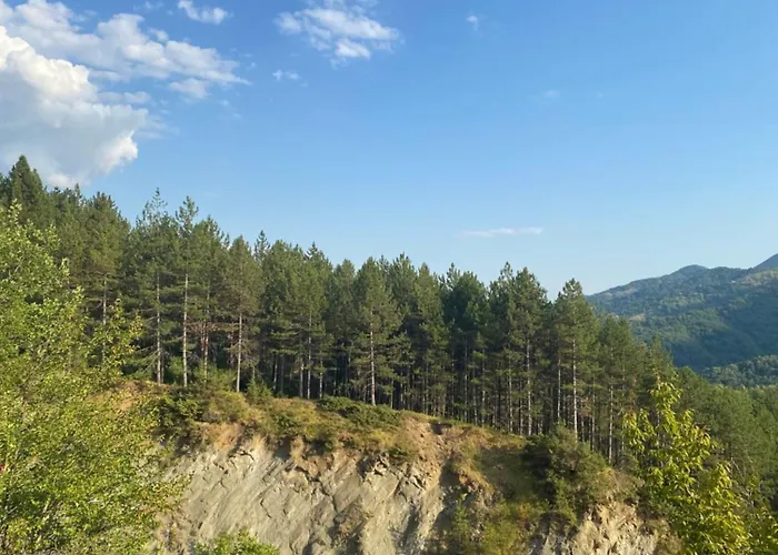 Hébergement de vacances Laci Tirana
